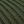 Olive Green And Black
