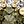Gold Tone Green