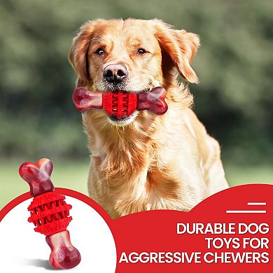 FrienHund Super Chewer Beef Flavor Nylon & Rubber Locking Chew Bone Toy, Pink & Red, 1 count