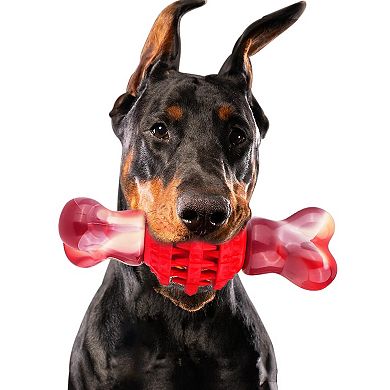 FrienHund Super Chewer Beef Flavor Nylon & Rubber Locking Chew Bone Toy, Pink & Red, 1 count