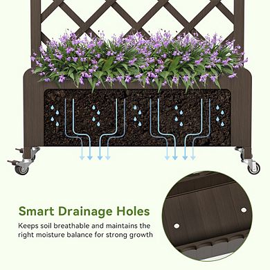 Raised Garden Bed with Trellis and Wheels, 48 Inch Elevated Planter Box with Drainage Holes