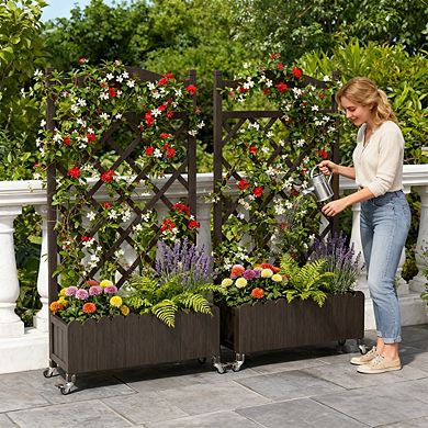 Raised Garden Bed with Trellis and Wheels, 48 Inch Elevated Planter Box with Drainage Holes