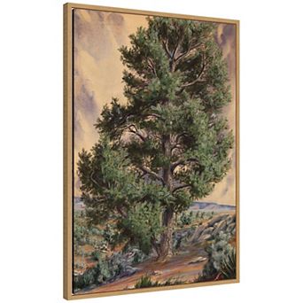 Sandow Pine Tree by The Smithsonian American Art Museum Framed Canvas Wall Art Print