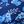 Blue Floral
