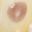 Cream Yellow