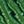 Silver Tone Green