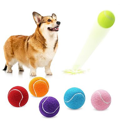 Colorful Dog Tennis Balls