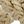 Dark Khaki