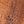 Noodle Scoop Brown