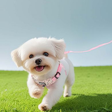 Puppy Dog Harness and Leash Set 1Set with Reflective Strip