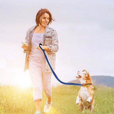 Reflective Dog Leash with Soft Padded Handle and Metal Hook 1Pc