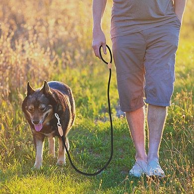 Dog Leash Round Braided for Small Medium Large Dog 1Pc