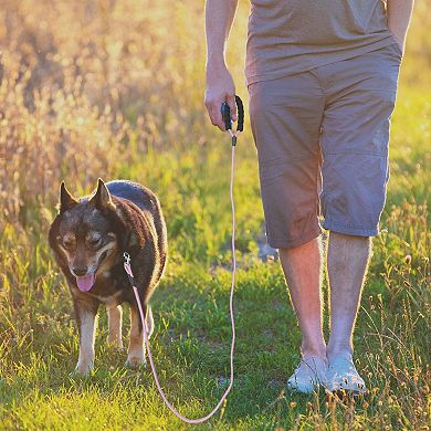 Dog Leash 1Pc with Comfortable Padded Handle and Reflective Threads Rose Red