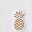 White Pineapple