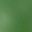 White Red Army Green