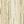 White Oak Color