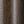 Walnut Color