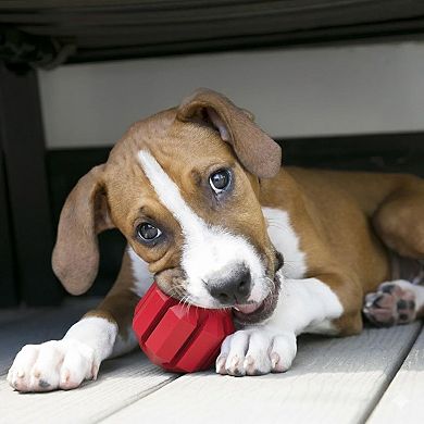 Durable Dog Chew Toy