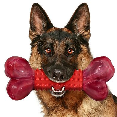 Durable Dog Bone Chew Toy
