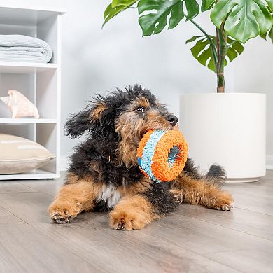 Dog Toy for Active Play