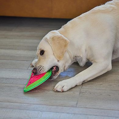 Durable Squeaky Dog Toy