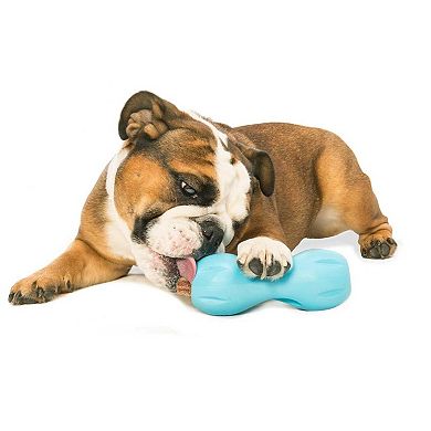 Durable Chew Puzzle Toy