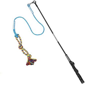 Interactive Flirt Pole for Dogs