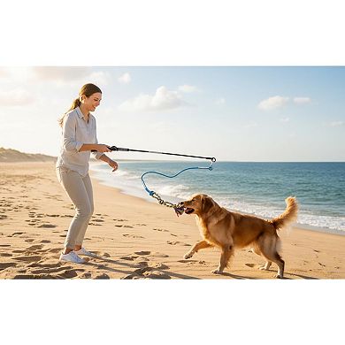 Interactive Flirt Pole for Dogs