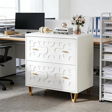 Multi-Functional File Cabinet, 2 Drawers, A4 Size, Printer Stand, Anti-Tip, Metal Legs,Easy Assembly