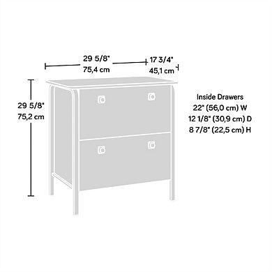 Lateral File Cabinet -2 Soft Close Drawers,Safety Interlock,Metal Frame,Office Storage,Easy Assembly