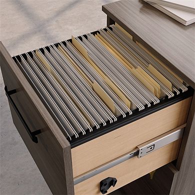 2-Drawer Mobile File Cabinet with Full-Extension Slides, Letter File Compatible, Rolling Storage