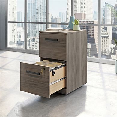 2-Drawer Mobile File Cabinet with Full-Extension Slides, Letter File Compatible, Rolling Storage