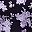 Black Purple Floral