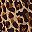Light Tan Leopard