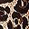 White Brown Leopard