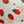 White Strawberry Print