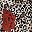 Leopard Flower Print