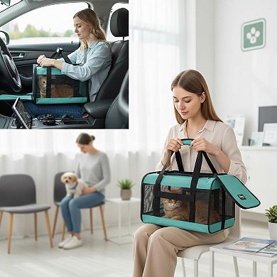 Petsfit Airline Approved Soft Sided Pet Carrier Inner Leash Collapsible for Small Med Cats