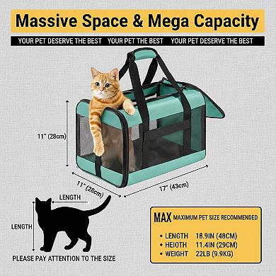 Petsfit Airline Approved Soft Sided Pet Carrier Inner Leash Collapsible for Small Med Cats