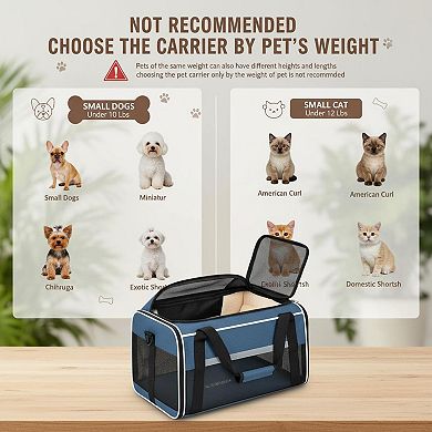 Petsfit Top Expandable Pet Carrier Airline Approved Soft Sided Underseat 15lbs Locking