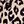 Coffee Leopard