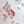 Pink White Floral
