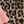 Pink Leopard