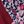 Dark Red Floral