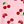 Pink Cherry
