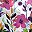 Mixed Floral