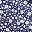 Navy White Floral