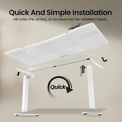 Height Adjustable Electric Sit Stand Desk Wood Surface Memory Preset Cable Clip Easy Assembly