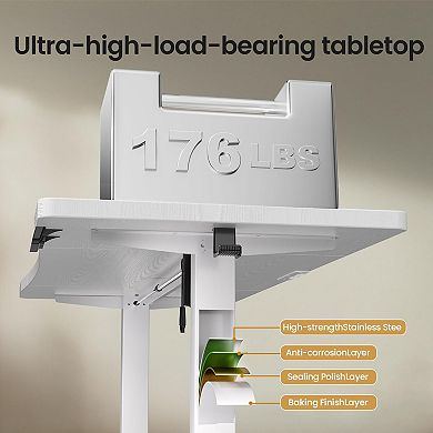 Height Adjustable Electric Sit Stand Desk Wood Surface Memory Preset Cable Clip Easy Assembly