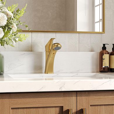 2-Spray Single-Handle Single-Hole Pull Out Sprayer Bathroom Sink Faucet with Drain Included
